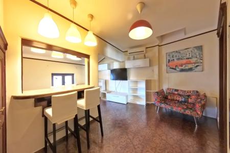 2 camere in vila - Gradina Icoanei/Piata Romana