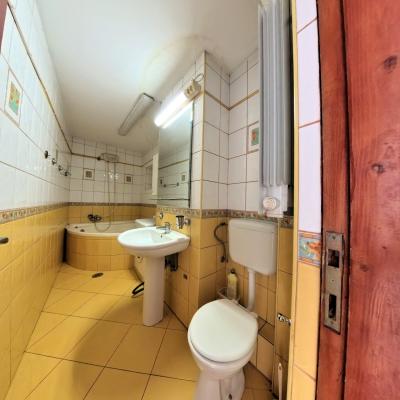 2 Camere - Bd Unirii - Nemobilat