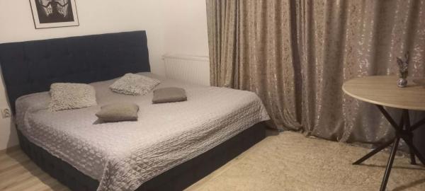 Apartament 1 cameră, mobilat și utilat –  Calea Urseni