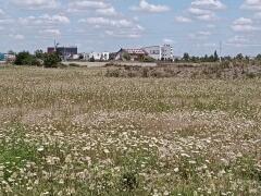 Teren industrial , Timișoara. Autorizație de construire inclusă