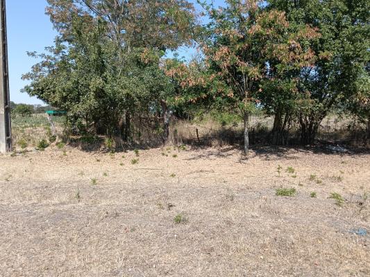 Parcele teren constructii In Cheveresu Mare