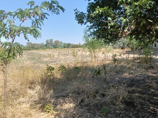 Parcele teren constructii In Cheveresu Mare