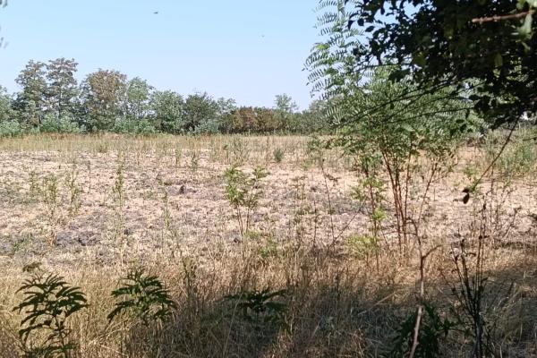 Parcele teren constructii In Cheveresu Mare