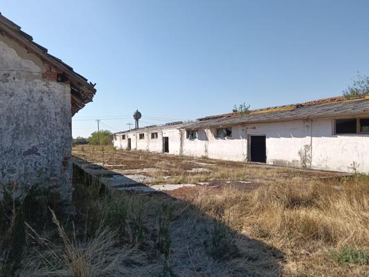OPORTUNITATE DE INVESTIȚIE – PISCHIA, JUDEȚUL TIMIȘ