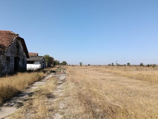 OPORTUNITATE DE INVESTIȚIE – PISCHIA, JUDEȚUL TIMIȘ