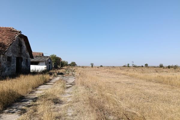 OPORTUNITATE DE INVESTIȚIE – PISCHIA, JUDEȚUL TIMIȘ