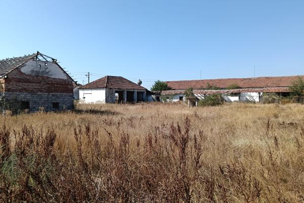 OPORTUNITATE DE INVESTIȚIE – PISCHIA, JUDEȚUL TIMIȘ