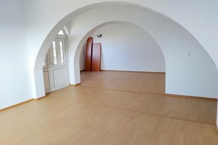 Vila P+1+M - 12 camere - Adunatii Copaceni