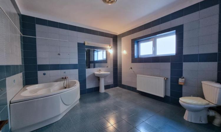 Vila cu Piscina si Garaj D+P+2+M - Titan - Balta Alba