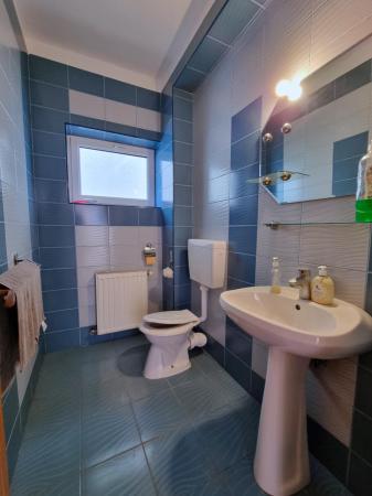 Vila cu Piscina si Garaj D+P+2+M - Titan - Balta Alba