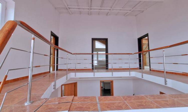Vila cu Piscina si Garaj D+P+2+M - Titan - Balta Alba