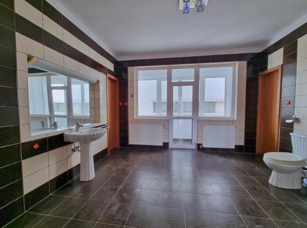 Vila cu Piscina si Garaj D+P+2+M - Titan - Balta Alba