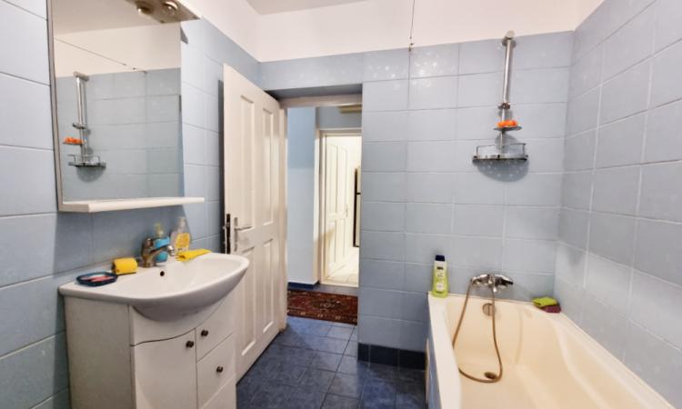 Romana, ASE, Lascar Catargiu
