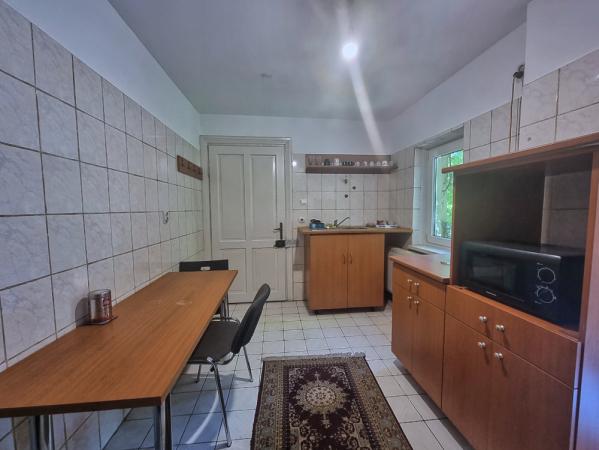 Romana, ASE, Lascar Catargiu
