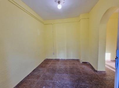 Pieptanari singur curte