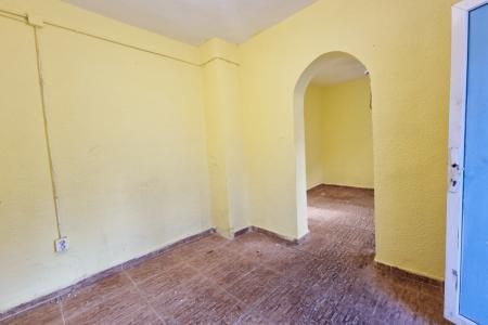 Pieptanari singur curte