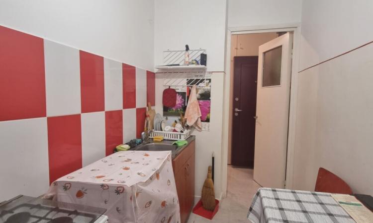 Berceni - Izvorul Rece - Resita