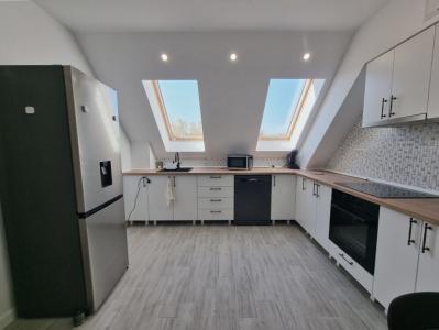 Damaroaia - apartament eco friendly