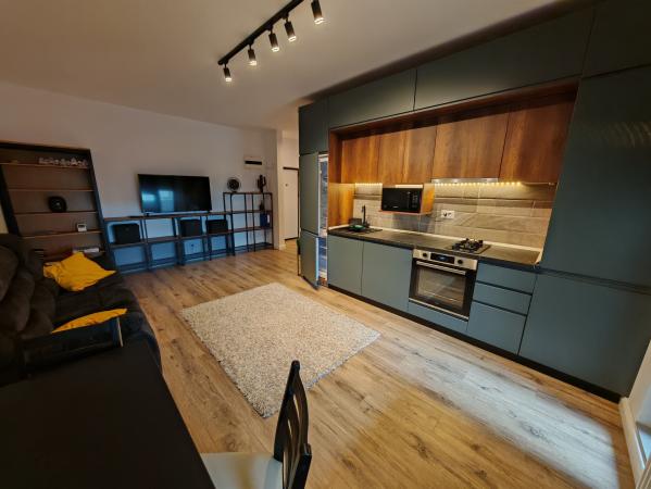 Apartament 2 camere tip studio - Pod Ciurel