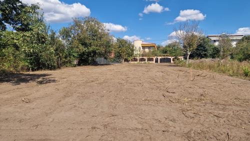 Teren Premium în Pasărea – 1.013 mp | Deschidere 22m | Oază de liniște