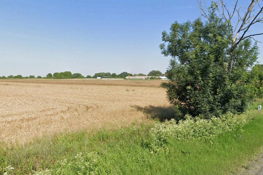 Teren Intravilan, 17500 mp, Timis, DN59 (E79), Acces din asfalt, 58 ml