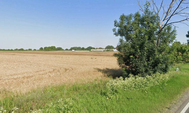 Teren Intravilan, 17500 mp, Timis, DN59 (E79), Acces din asfalt, 58 ml