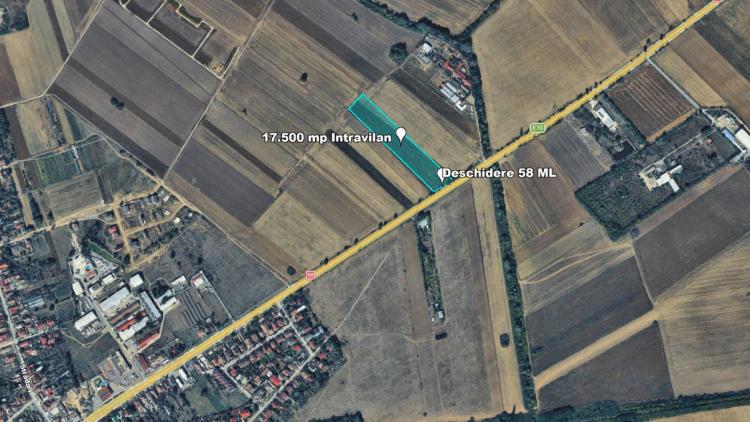 Teren Intravilan, 17500 mp, Timis, DN59 (E79), Acces din asfalt, 58 ml
