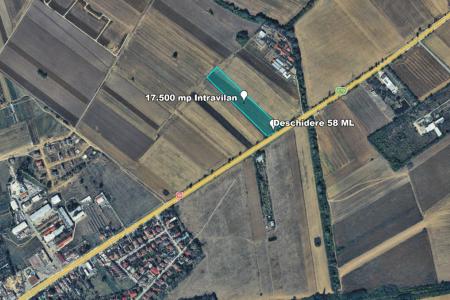 Teren Intravilan, 17500 mp, Timis, DN59 (E79), Acces din asfalt, 58 ml