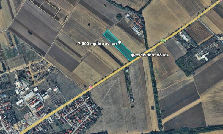 Teren Intravilan, 17500 mp, Timis, DN59 (E79), Acces din asfalt, 58 ml