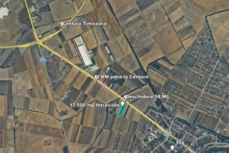 Teren Intravilan, 17500 mp, Timis, DN59 (E79), Acces din asfalt, 58 ml