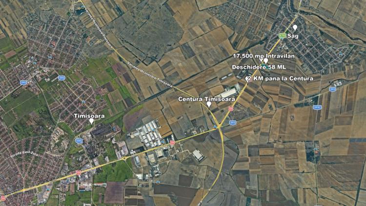 Teren Intravilan, 17500 mp, Timis, DN59 (E79), Acces din asfalt, 58 ml