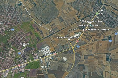 Teren Intravilan, 17500 mp, Timis, DN59 (E79), Acces din asfalt, 58 ml
