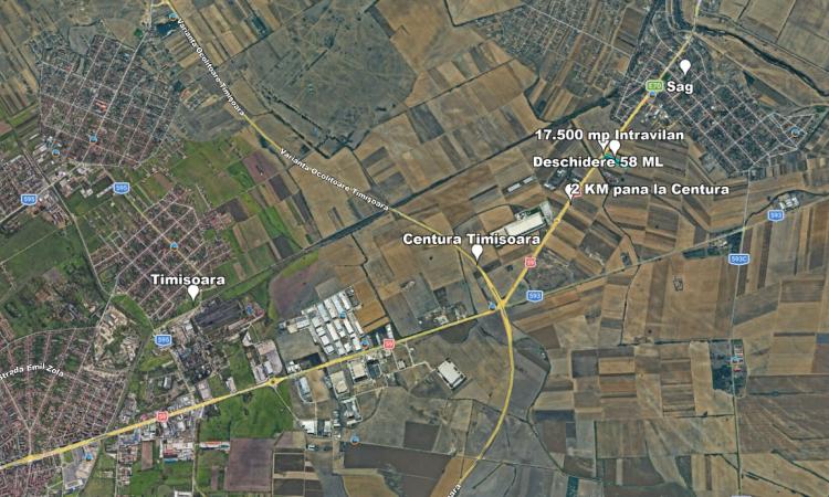 Teren Intravilan, 17500 mp, Timis, DN59 (E79), Acces din asfalt, 58 ml