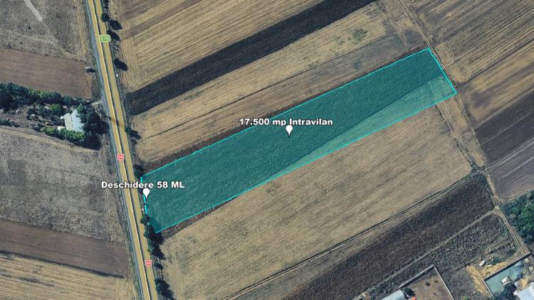 Teren Intravilan, 17500 mp, Timis, DN59 (E79), Acces din asfalt, 58 ml