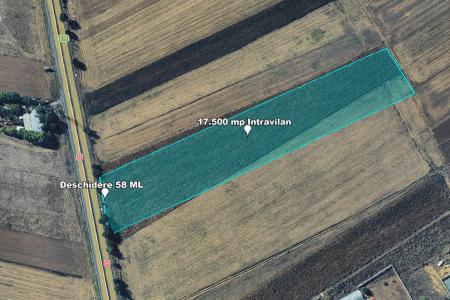 Teren Intravilan, 17500 mp, Timis, DN59 (E79), Acces din asfalt, 58 ml