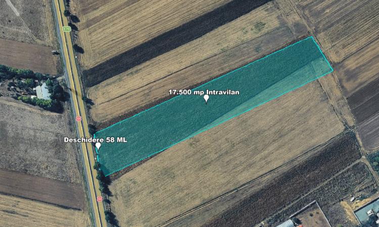 Teren Intravilan, 17500 mp, Timis, DN59 (E79), Acces din asfalt, 58 ml