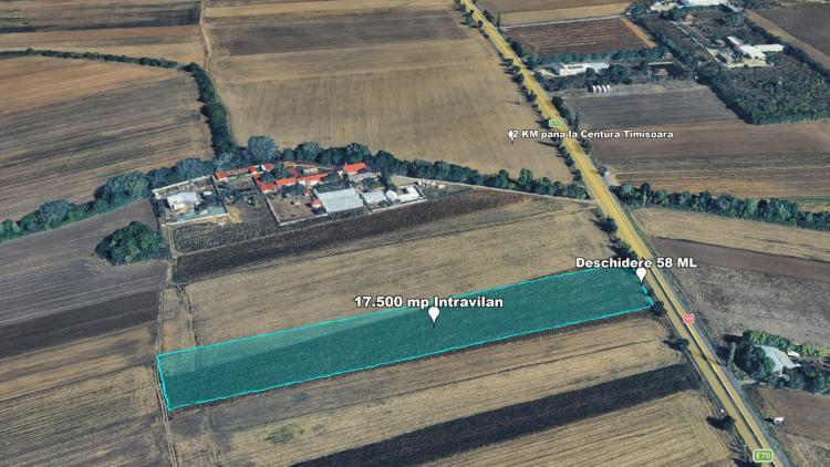 Teren Intravilan, 17500 mp, Timis, DN59 (E79), Acces din asfalt, 58 ml