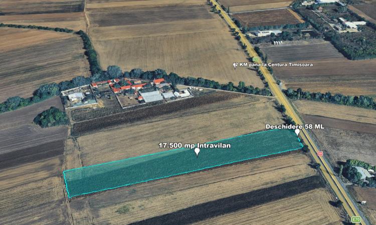 Teren Intravilan, 17500 mp, Timis, DN59 (E79), Acces din asfalt, 58 ml