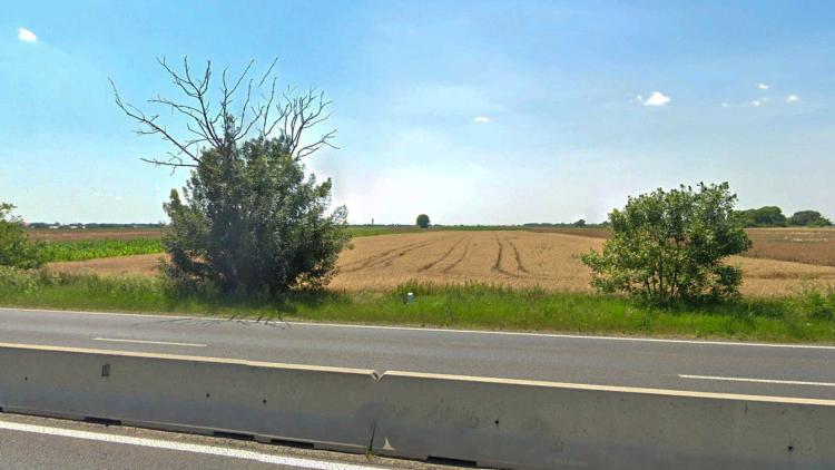 Teren Intravilan, 17500 mp, Timis, DN59 (E79), Acces din asfalt, 58 ml