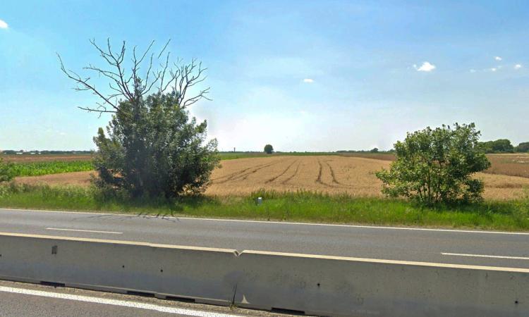 Teren Intravilan, 17500 mp, Timis, DN59 (E79), Acces din asfalt, 58 ml