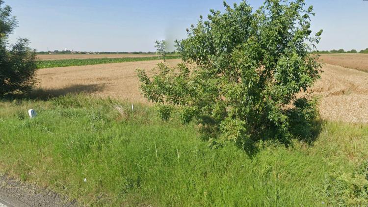 Teren Intravilan, 17500 mp, Timis, DN59 (E79), Acces din asfalt, 58 ml