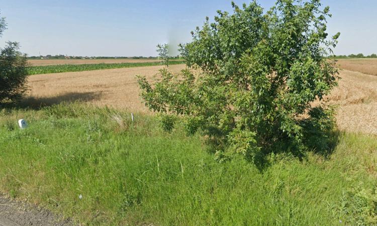 Teren Intravilan, 17500 mp, Timis, DN59 (E79), Acces din asfalt, 58 ml