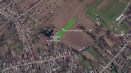 Teren 6.000 mp Săbăreni, ideal cartier case, acces asfalt
