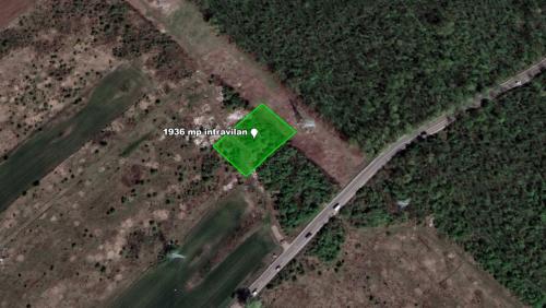 Teren intravilan 1.936 mp, lângă pădure – Săbăreni, Giurgiu, langa DN7