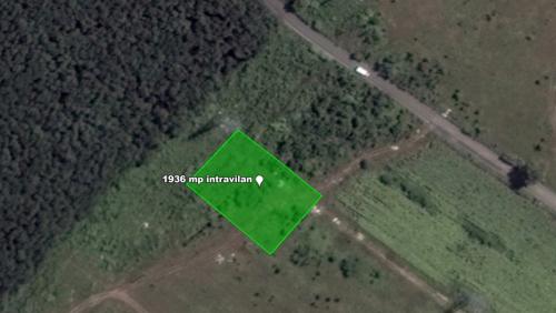 Teren intravilan 1.936 mp, lângă pădure – Săbăreni, Giurgiu, langa DN7