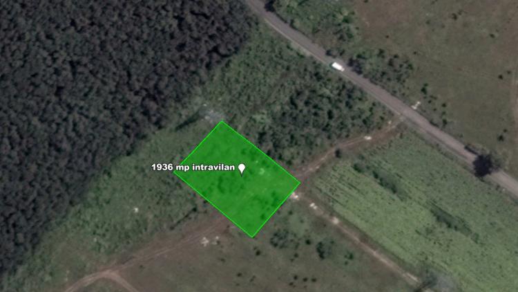Teren intravilan 1.936 mp, lângă pădure – Săbăreni, Giurgiu, langa DN7