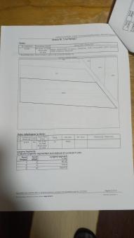 Teren 22320 mp - Adunații Copaceni
