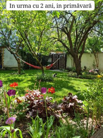 De vanzare casa 5 camere 145mp utili + 300mp curte- Baneasa- Herastrau
