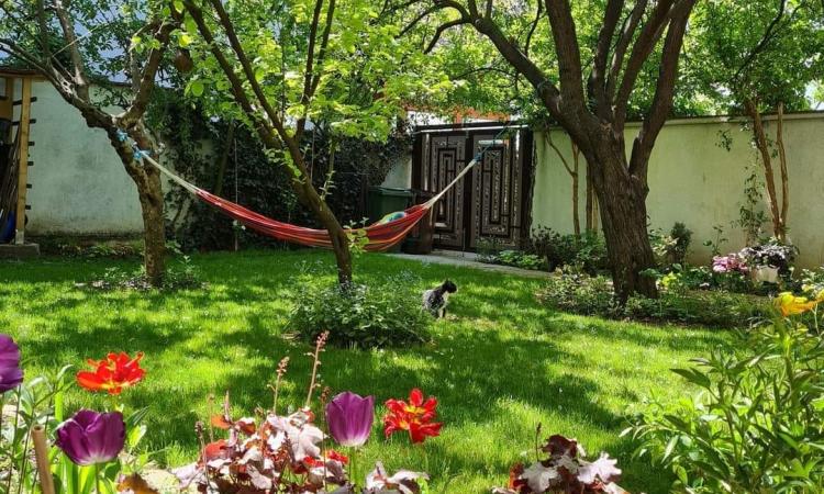 De vanzare casa 5 camere 145mp utili + 300mp curte- Baneasa- Herastrau